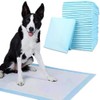 Bodyplus 100PCS Puppy Pads – Heavy Duty Large Dog Pee