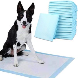 Bodyplus 100PCS Puppy Pads – Heavy Duty Large Dog Pee Pad with 5-Layer Leakproof Absorbent Core – Puppy Training Pads for Indoor Puppy House Training