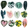 12 pcs Leaf Shaped Fridge Magnets, Plant Themed Decorative Acrylic