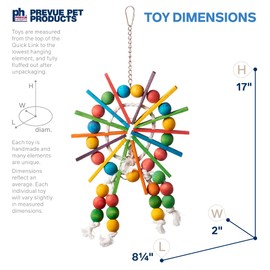 Prevue Pet Products Physical & Mental Bodacious Bites Ferris Wheel Bird Toy 60957