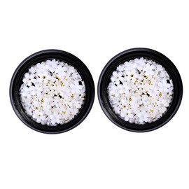Beavorty 2pcs White Resin Five Petal Flower Nail Art Charms Fashionable DIY Manicure Accessories for Creative Nail Designs for and Special Occasions