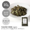 Spearmint Herbal Tea, Organic 0.4 oz (10 g) (Trial Size)