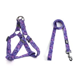 QQPETS Dog Harness Leash Set Adjustable Heavy Duty No Pull Halter Harnesses for Small Medium Large Breed Dogs Back Clip Anti-Twist Perfect for Walking