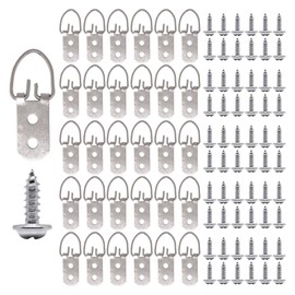 ZHMEINA D Ring Picture Hangers, 2 Holes with Screws, D Rings Heavy Duty, Picture Hang Solutions for Mirror, Clock, Decoration, Paintings, Artwork Pictures Frame, 30 PCS