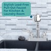 JS Jackson Supplies Dual Handle Pull Out Faucet, Chrome Finish,