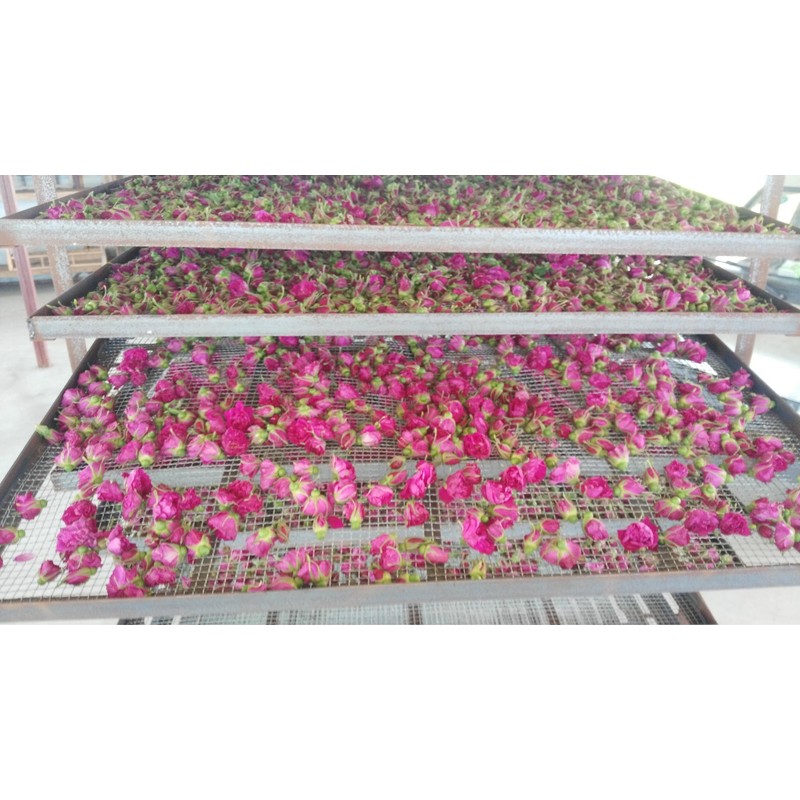 TooGet Natural Pink Rose Buds Scented Rose Petals Real Dry