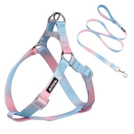 AIITLE Dog Harness Easy On and Off - Step in Adjustable Pet Harness with A Leash - No Pull Escape Proof Halter Harness with Quick-Release Buckle - Walking Running for Medium Dogs,Blue-Pink Gradient M