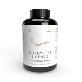 Pilze Wohlrab - Organic Cordyceps Powder Capsules, 200 Capsules of 500 mg Microfine Cordyceps Sinensis Mushroom Powder per Capsule - Vital Mushroom Capsules - 1 Can - Dietary Supplement