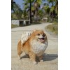 Hi-Line Gift Ltd. Medium Standing Pomeranian, Brown