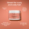SHEA MOISTURE SheaMoisture Coconut & Hibiscus Curl Enhancer no silicones