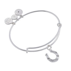 Alex and Ani Horseshoe Charm Bangle