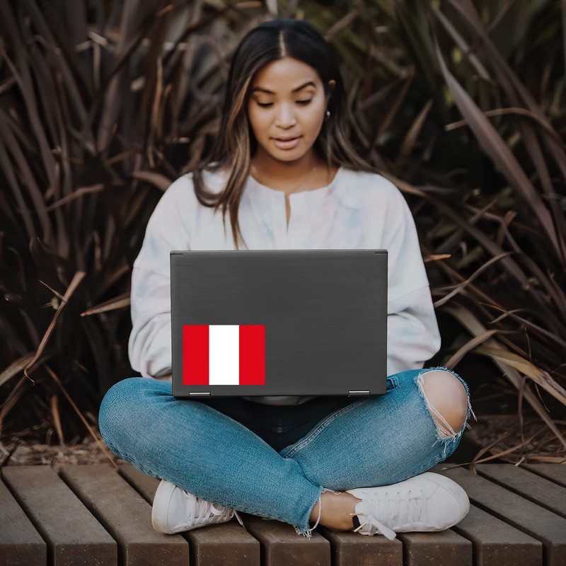 Flag of Peru Sticker Decal Notebook Car Laptop 5.5"x4" (Color)