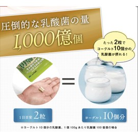 乳酸菌革命プレミアム 乳酸菌サプリ ビフィズス菌BB536 + ラブレ菌 + ガセリ菌 など 16種類の乳酸菌 31日分