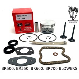 REBUILD FITS STIHL BR500, BR550, BR600, BR700, PISTON, VALVES & SEALS, GASKETS
