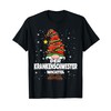 Nurse Gnome Christmas Gnome Design Women's T-Shirt