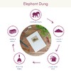 Elephant Dung Notebook | Handmade, Fair Trade & Eco Friendly