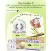 BEYELIAN Magnetic Eyelashes with Applicator Kit, Reusable Natural Look False