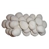 COALS 4 YOU 15W1 15 Gas Fire Replacement Ceramic Pebbles