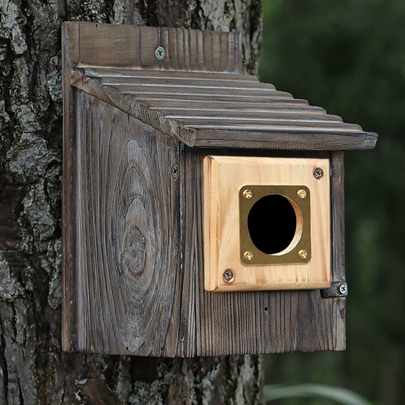 Bluebird House Predator Guard,Metal Birdhouse Guard,Bird House Hole Protector Guard
