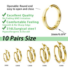 Senteria Gold Hoop Set Small Gold Hoop Earrings for Women 10 Pairs SmallGold Hoops Stainless Steel Hypoallergenic GoldCartilage Hoop for Men,(8MM-16MM)