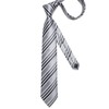 DiBanGu Silk Necktie, Wedding, Pocket Square, Tie Clip, Cufflinks Set,