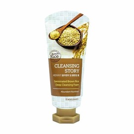 Fruitland Sean Story Sprouted Brown Rice Deep Cleansing Foam 120ml Nourishing Care 010555 / 세안이야기 발아현미 딥 클렌징 폼 120ml 영양케어 010555