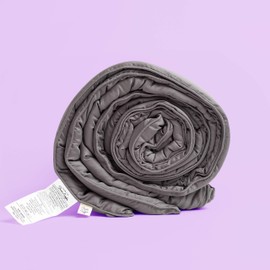 Sheets & Giggles Eucalyptus, Down Alternative Comforter. Just Like Our Eucalyptus Lyocell Sheet Sets, Our Soft, Fluffy Eucalyptus Comforter is Sustainable, Cooling, and Hypoallergenic – Queen, Grey