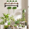 Yawinhe Industrial Pipe Clothes Rack with Top Shelf, Wall Mounted