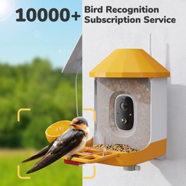 Dzees Smart Bird Feeder with Camera, 32G Card, AI Identify Birds Species, Capture Video, Instant Notifications, Live View, Solar Powered, for Family, Ideal Gifts for Bird Lovers