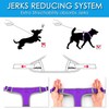 ThinkPet No Pull Harness Breathable Sport Harness with Handle-Dog Harnesses