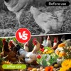 Chickens Vegetable Fruit Hanging Automatic Feeder Foldable 16.5 Inch with
