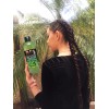 Alazán Shampoo De Bergamota Alazán, Pack 3 Pz. De 1