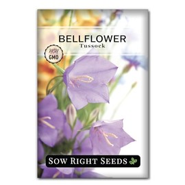 Sow Right Seeds - Tussock Bellflower Seeds for Planting - Blue Campanula Carpatica Perennial- Non-GMO Heirloom Packet With Instructions to Plant in Your Garden - Bell Shaped Blooms Outside Gardens (1)
