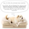 TOWN & COUNTRY EVERYDAY CuddleTown Comfy Solid Bolster Sofa Pet