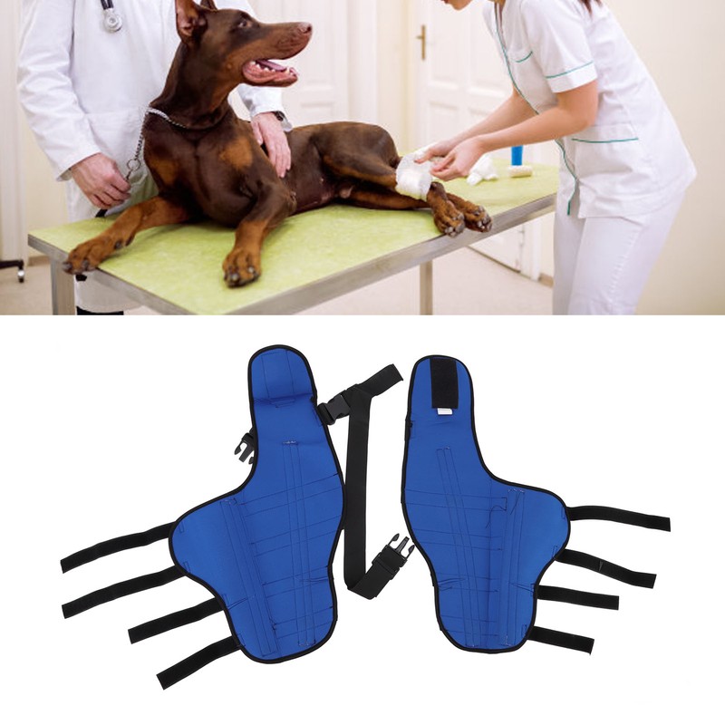 Dog Hind Leg Brace Breathable Elastic Shockproof Dog Leg Protector