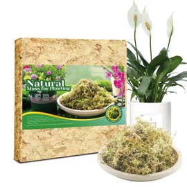 1LB Sphagnum Moss for Plants Indoor, Premium Peat Moss for Reptiles Terrarium-20 Quarter, Natural Long Fiber Orchid Moss for Repotting Propagation Succulent Sarracenia Carnivorous Gardening