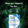 Nature's Own Slippery Elm 400Mg 60 Capsules