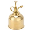 Professional Stainless Steel Watering Can with Top Pump for Succulent
