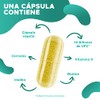 PROMINENT FLORA Probióticos para Restaurar la Microbiota Con Vitamina D,