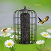 Nature's Rhythm Outdoor Hanging Bird Feeder Cage Mesh Tube Squirrel