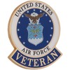 EagleEmblems United States Air Force Veteran Logo Emblem Lapel /