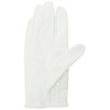 Puma Men's Golfing P Glove (Right Hand)