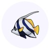 24 x 40mm Round 'Angel Fish' Stickers (SK00018570)