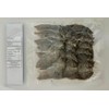 Dried Boneless Rabbitfish/Boneless Danggit, Dried Fish, Wild Caught, Chemical Free,