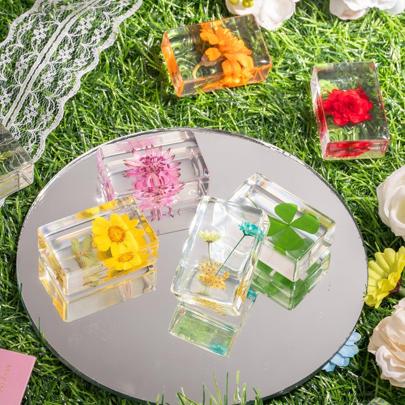 12 Pcs Real Pressed Flower Resin Paperweights - Botanical Specimen