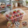 Qinyoung 100 Pack Berry Containers 1 Pound Plastic Fruit Containers