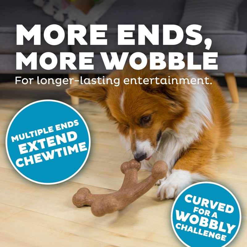 Outward Hound Dogwood Jack Durable Dog Chew Toy, Bacon Scent,