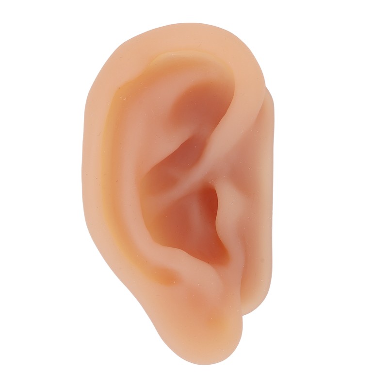 Silicone Ear Model Simulated Ear Model Acupuncture Practice Tool with