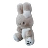 Llavero Conejo Kawaii Adorable Compañero Para Tus Llaves