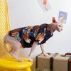 Cat Hawaiian Shirt, Summer Cat Clothes for Sphynx Cat Devon